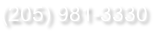 (205) 981-3330